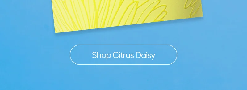 Shop Citrus Daisy