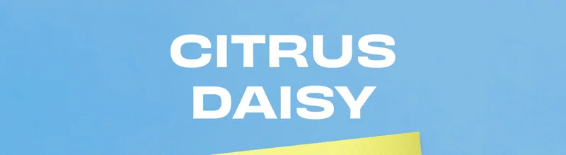 Citrus Daisy