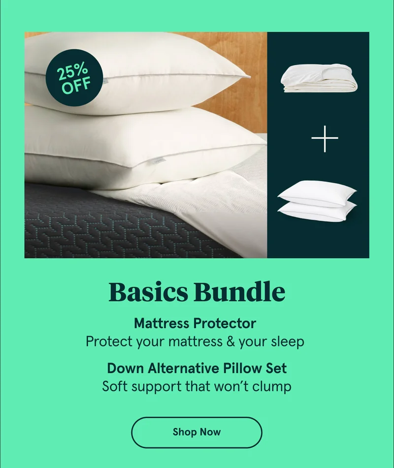 Basics Bundle