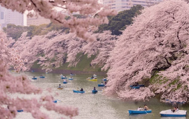 Save 25% or more on spring vacations