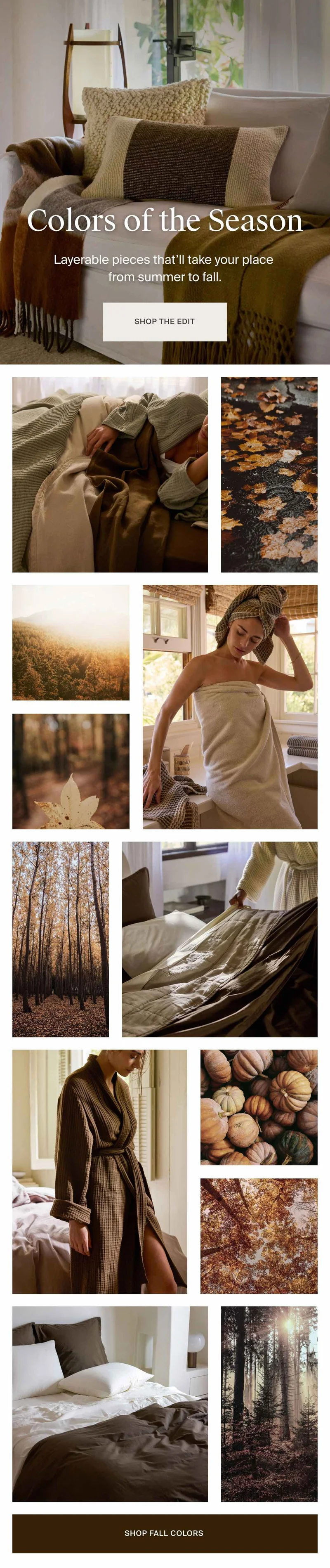 Shop the Fall Color Edit