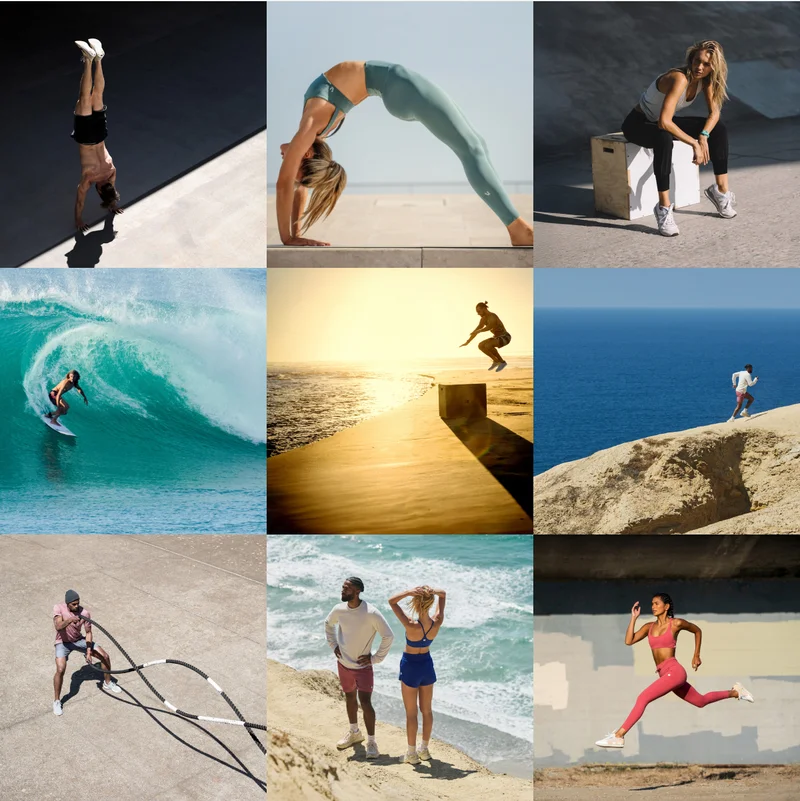 Meet Our Flagship Favorites