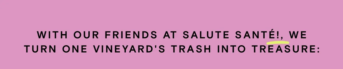 With our friends at Salute Santé!, we turn one vineyard's trash into treasure: