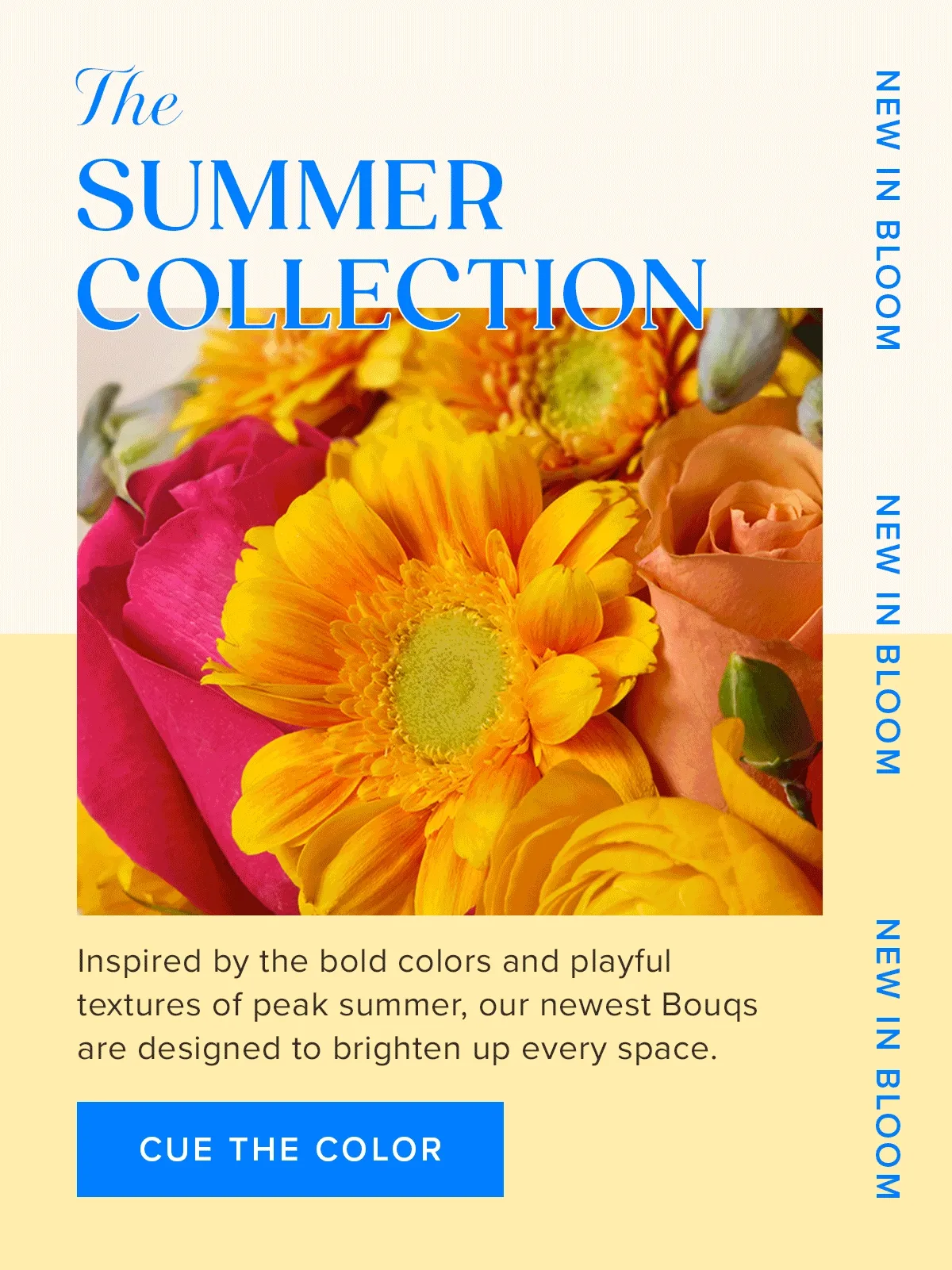 The SUMMER COLLECTION: Inspired by the bold colors and playful textures of peak summer, our newest Bougs are designed to brighten up every space. CUE THE COLOR