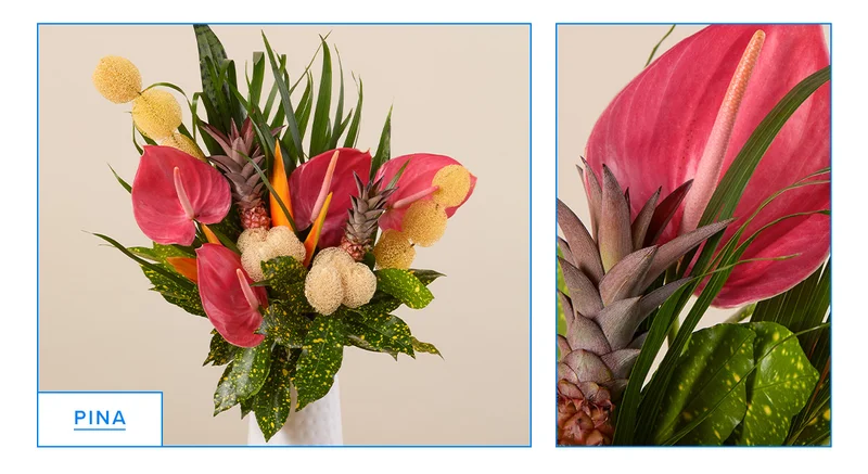 Featured Bouq: PINA