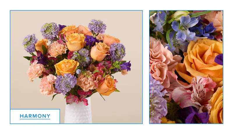 Featured Bouq: HARMONY