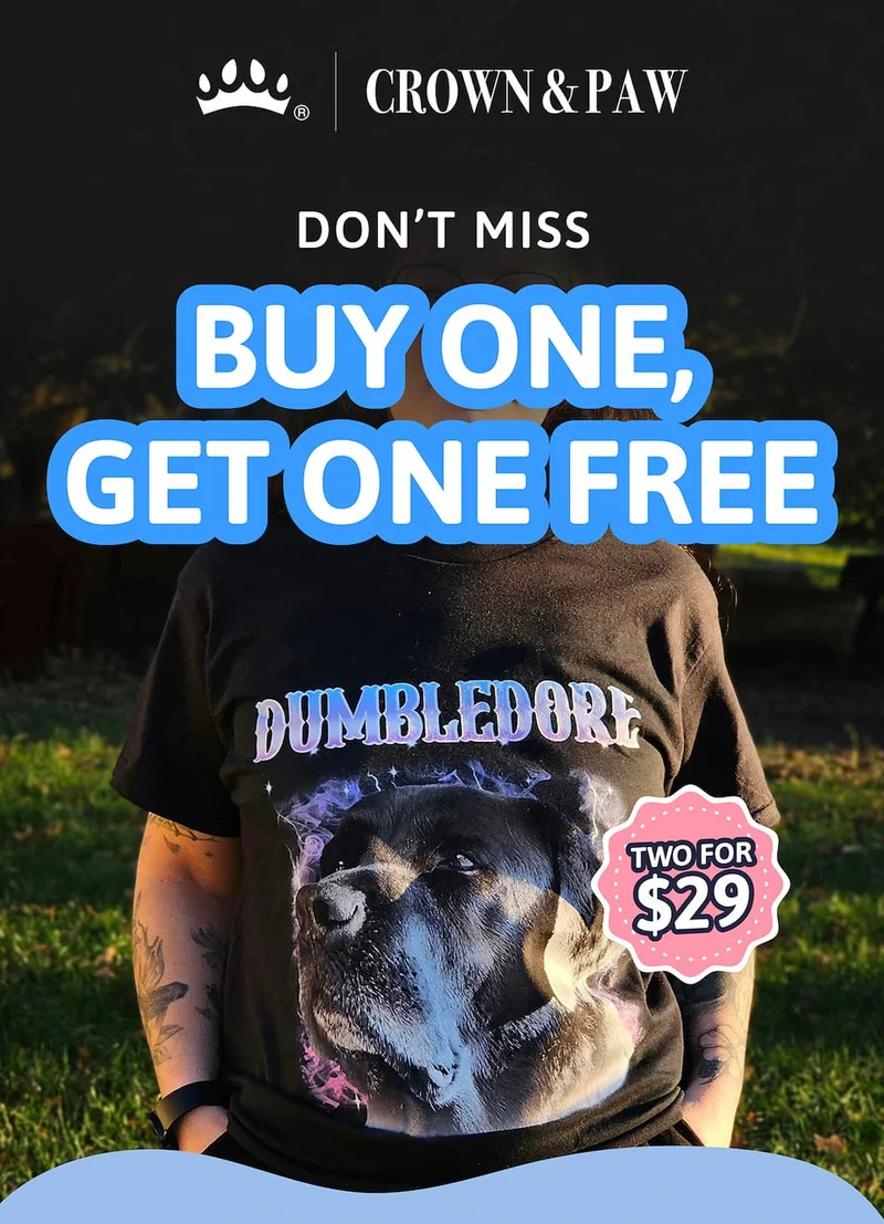 Don't miss BUY ONE GET ONE FREE