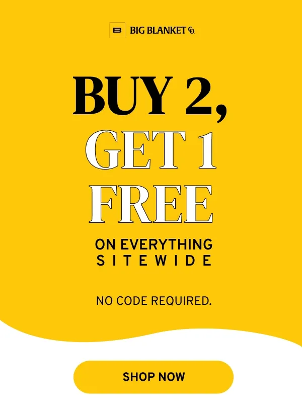BUY 2, GET 1 FREE