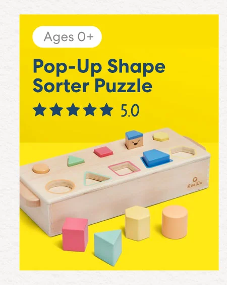 Pop-Up Shape Sorter Puzzle