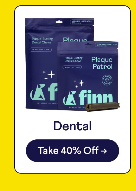 Dental: Shop Now –>