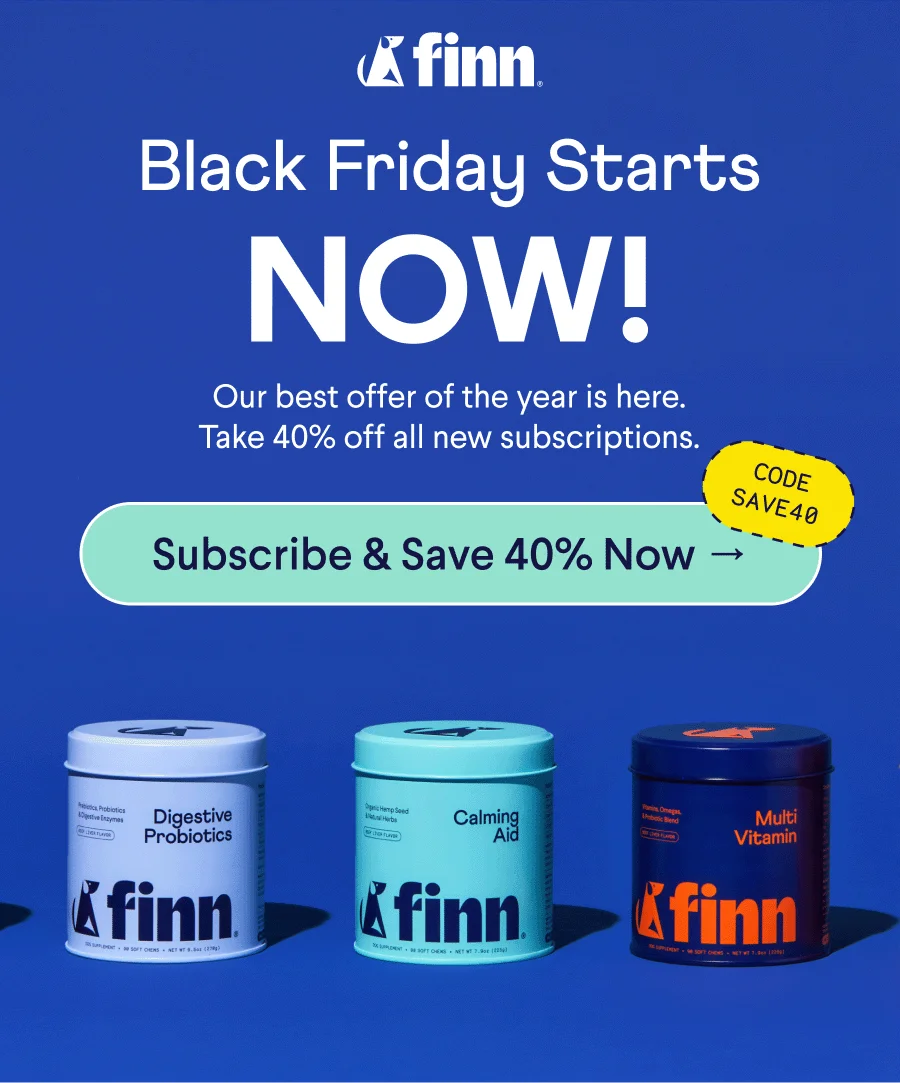 Finn Logo. Text: Black Friday Starts NOW! Our best offer of the year is here. Take 40% off all new subscriptions. CTA: Subscribe & Save 40$ Now –> Code: SAVE40
