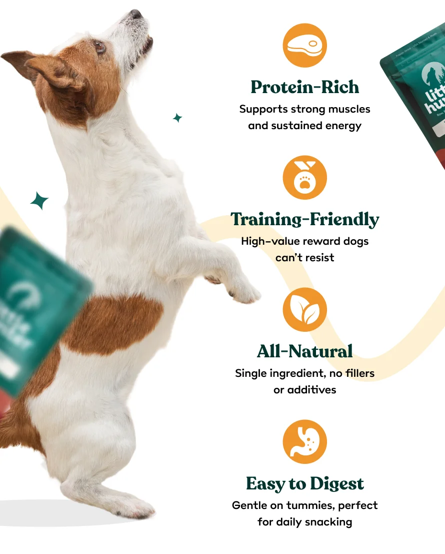 The perfect treat for your best friend