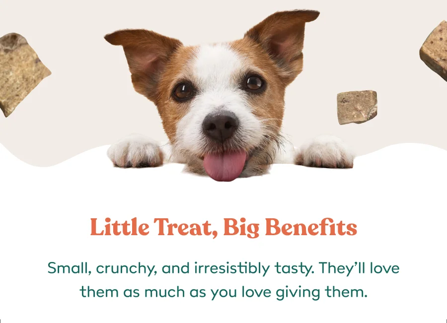 Little Treat, Big Benefits