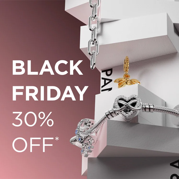 Black Friday 30% off
