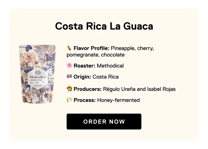 Limited Release: Methodical La Guaca