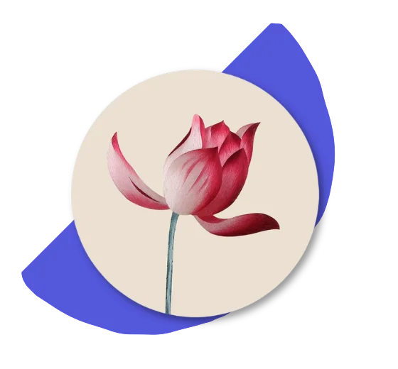 Lotus flower embroidery kit