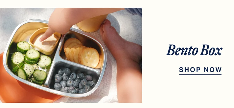Bento Box- Shop Now