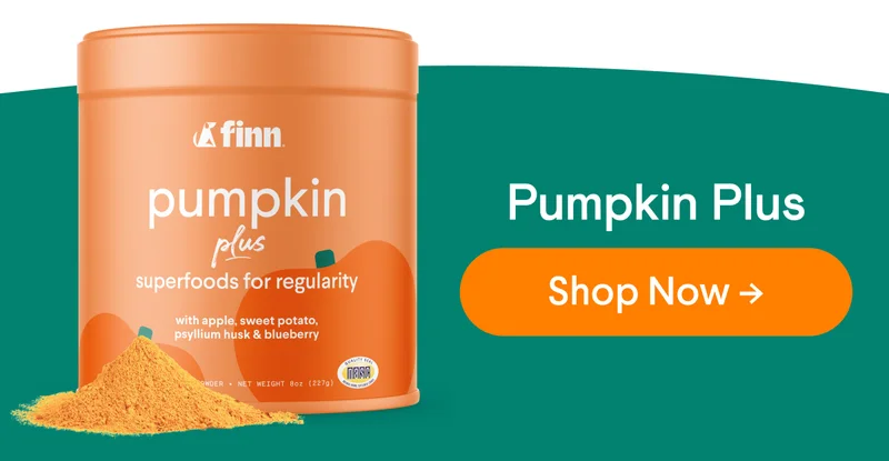 Finn Pumpkin Plus: Superfoods for Regularity CTA: Shop Now –>