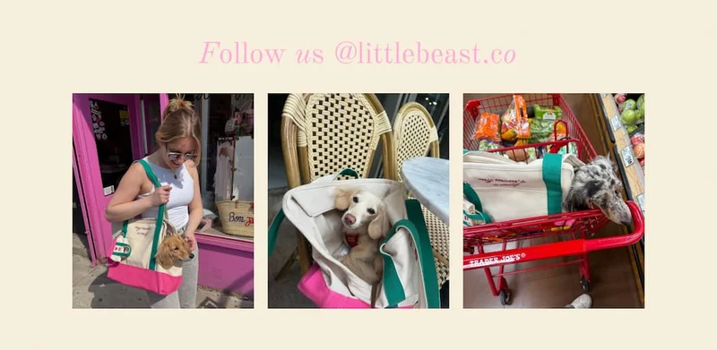 Follow us on Instagram