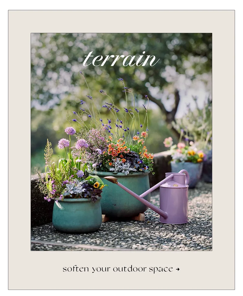 soften your outdoor space