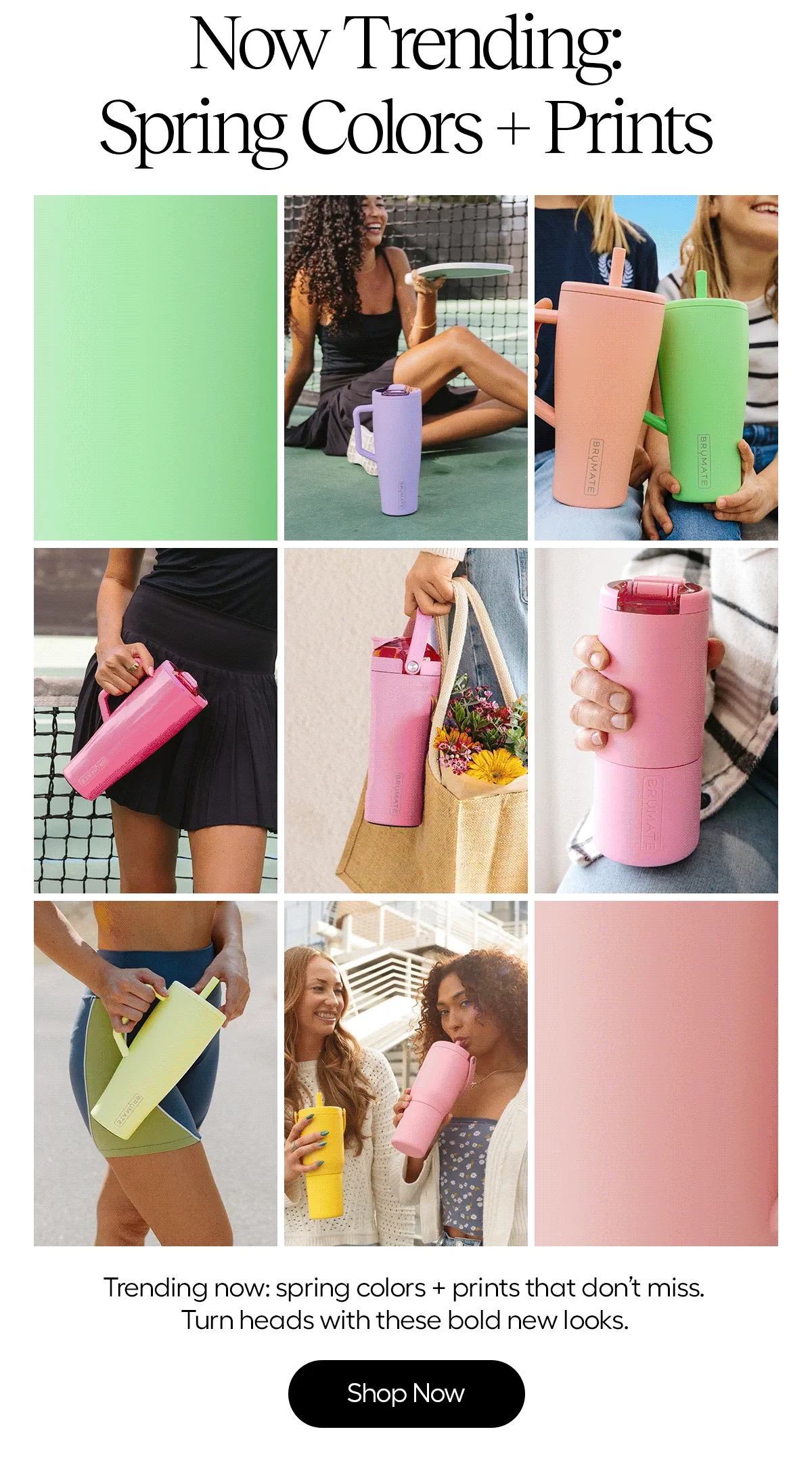 Now Trending: Primrose, Glacier, Kiwi, Guava and more brights for spring!