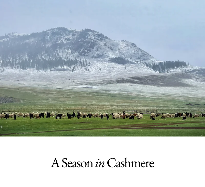 A Season In Cashmere