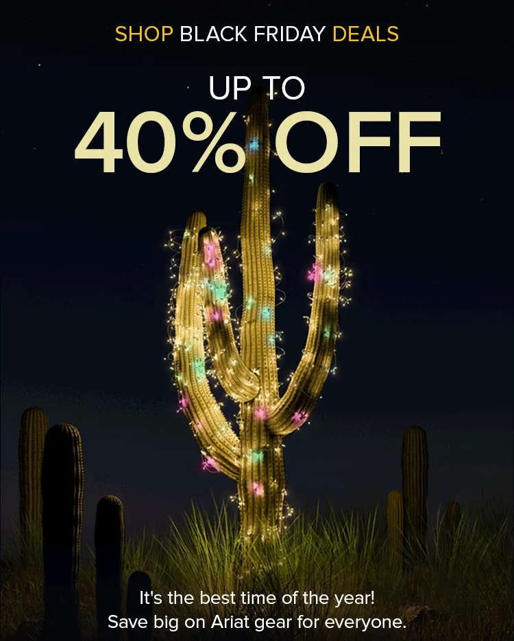 BLACK FRIDAY DEALS UP TO 40% OFF