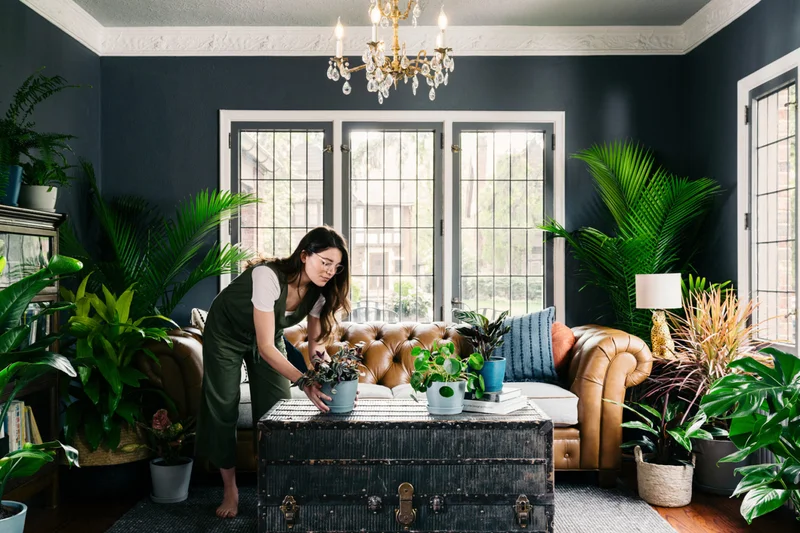 woman caring for livingroom full of bloomscape plants