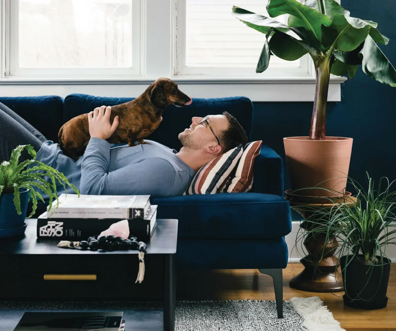 Man with his dog in living room surrounded by bloomscape plants