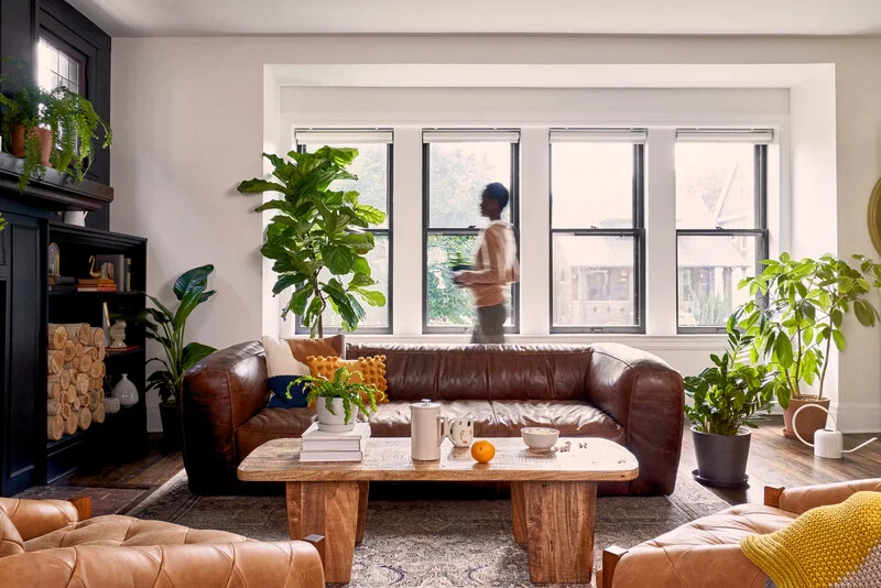 woman rearranging plants