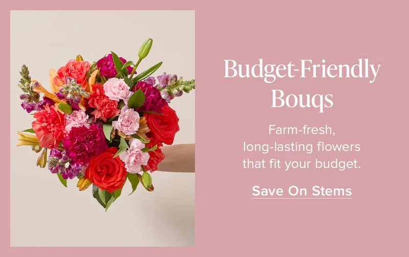 Budget-Friendly Bouqs. Farm-fresh, long-lasting flowers that fit your budget. Save On Stems
