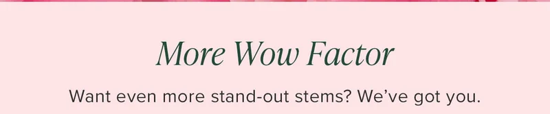 More Wow Factor - Want even more stand-out stems? We've got you.