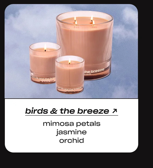 Save 20% on Birds and the Breeze →