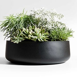 Saabira Black Indoor/Outdoor Tabletop Planter