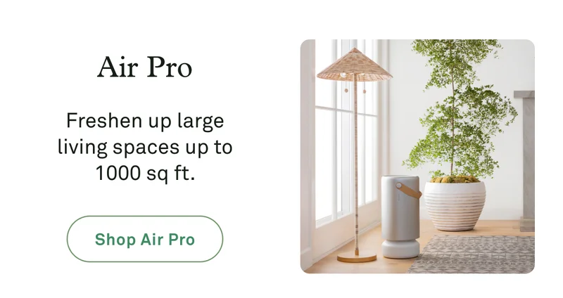 Air Pro