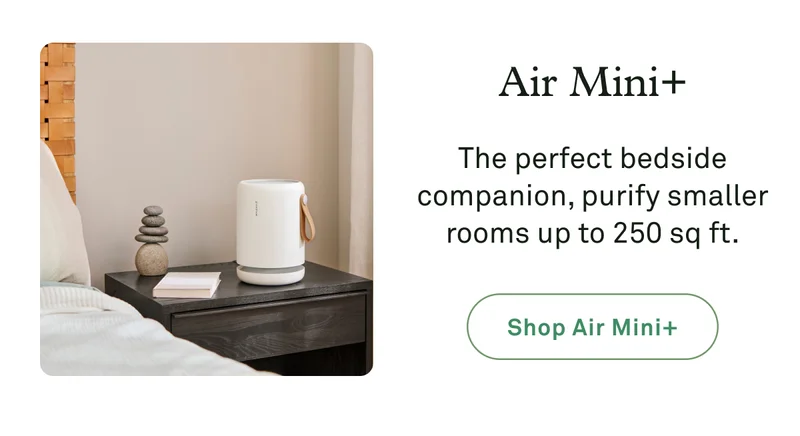 Air Mini+