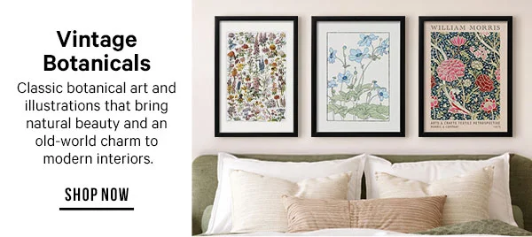 Vintage Botanicals: Classic botanical art and illustrations that bring natural beauty and an old-world charm to modern interiors.