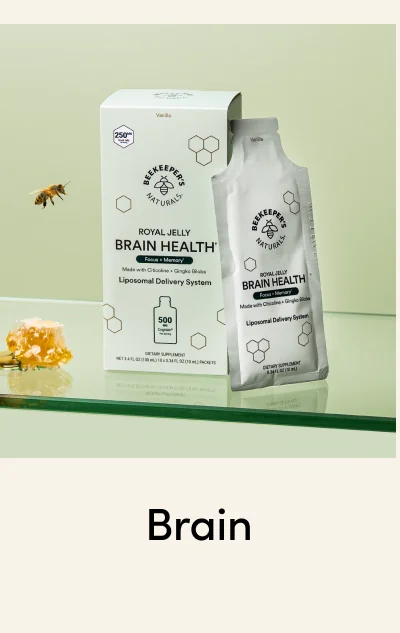Brain