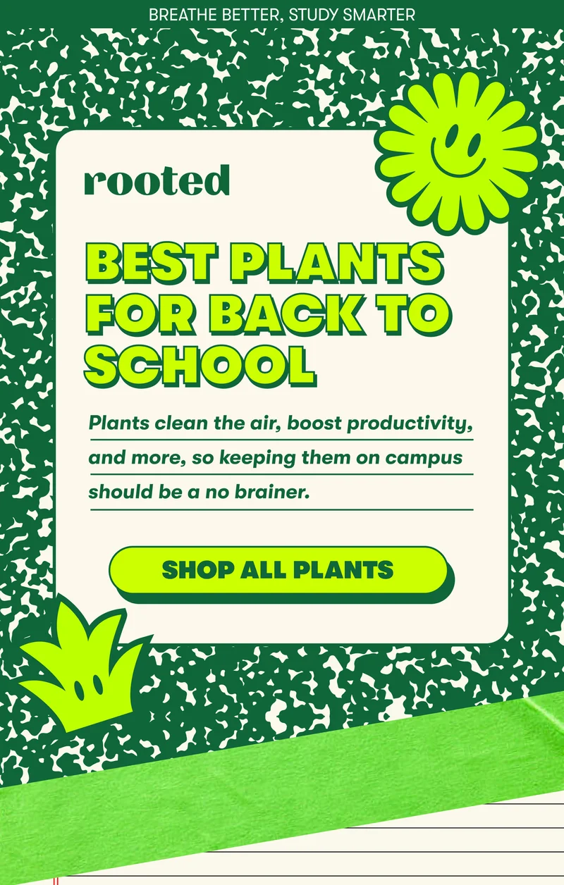 BREATHE BETTER, STUDY SMARTER BEST PLANTS FOR BACK TO SCHOOL  Plants clean the air, boost productivity, and more, so keeping them on campus should be a no brainer.  [SHOP ALL PLANTS]