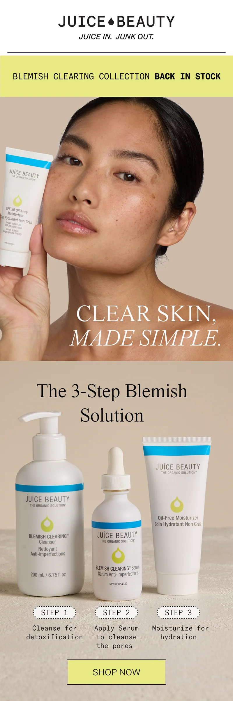 Natural Blemish Clearing