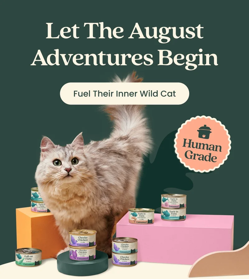 Fuel Their Inner Wild Cat