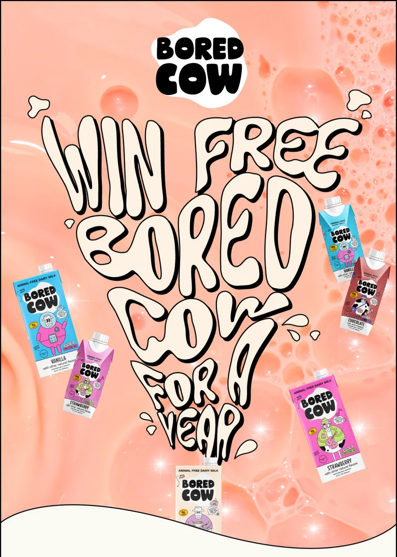 Win Free Bored Cow for a Year