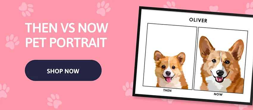 Then vs Now Double Photo Pet Portrait