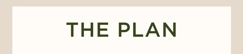 The Plan