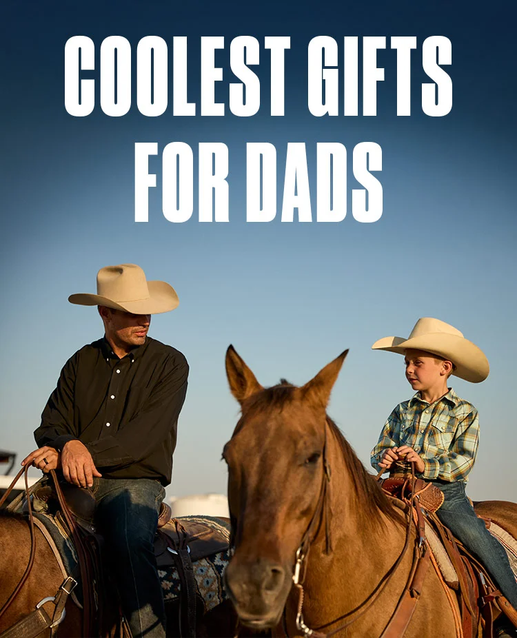 COOLEST GIFTS FOR DADS