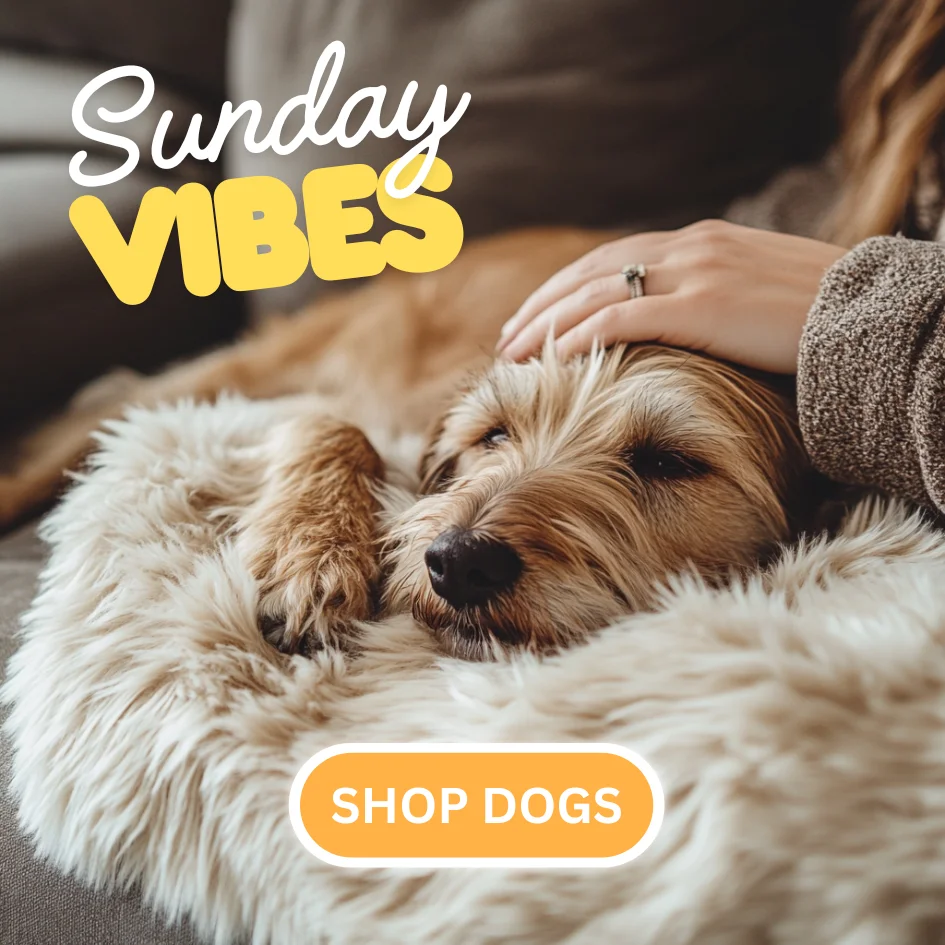 Sunday shop