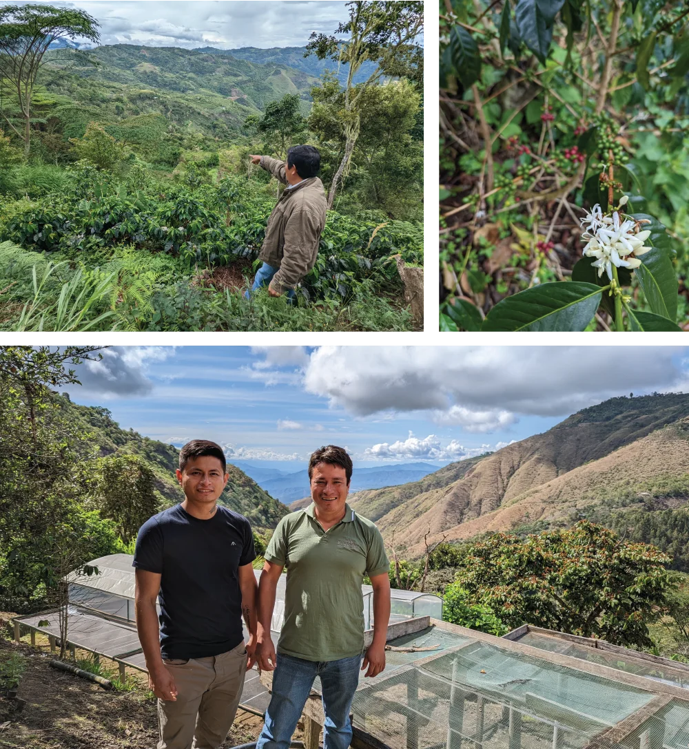 Photos of Finca Churupampa and Eber Tocto
