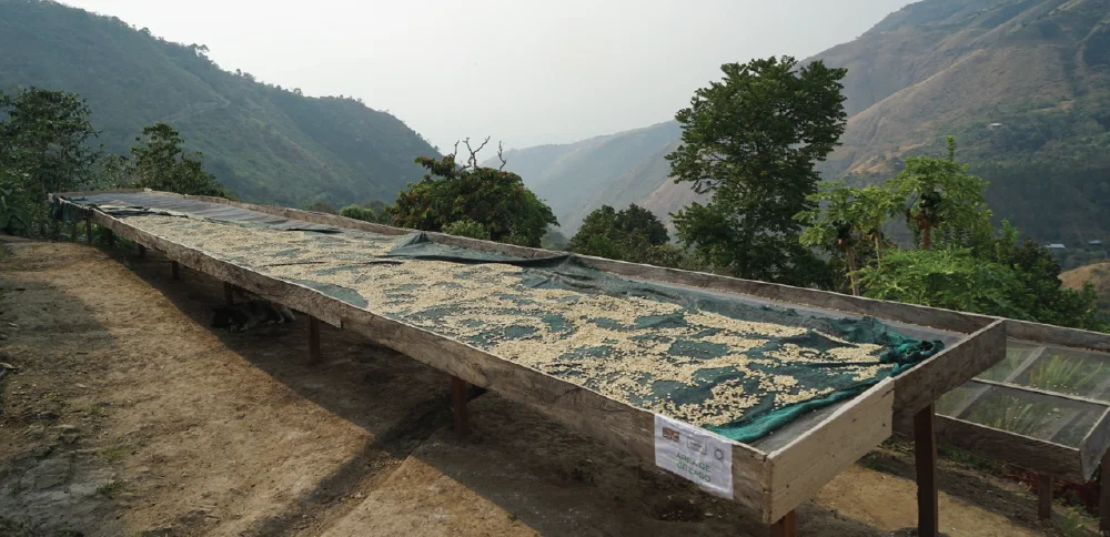 Raised drying beds at Finca Churupampa