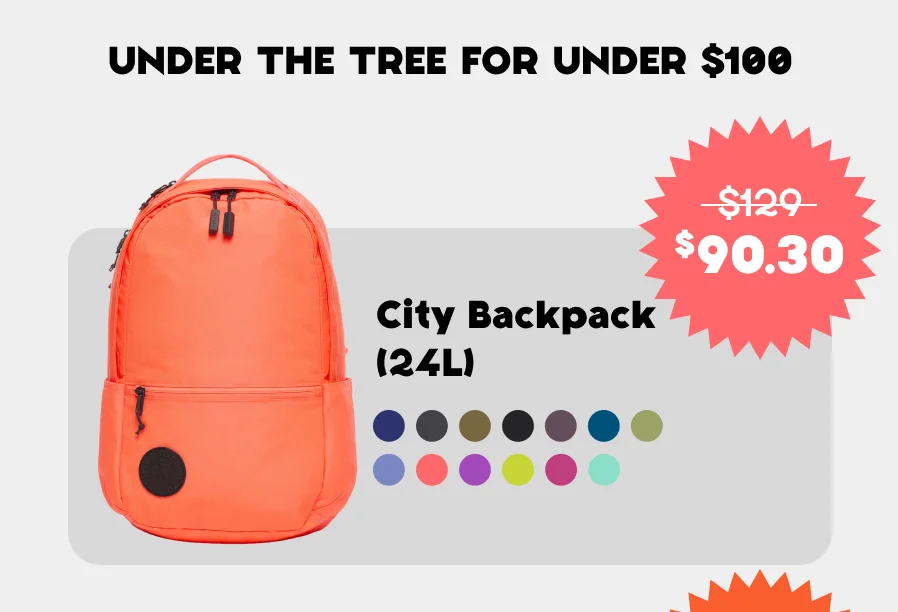 City Backpack (24L)