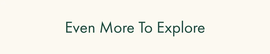 Shop All Womens